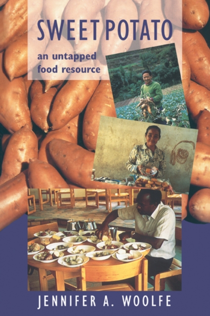 Sweet Potato : An Untapped Food Resource, Paperback / softback Book