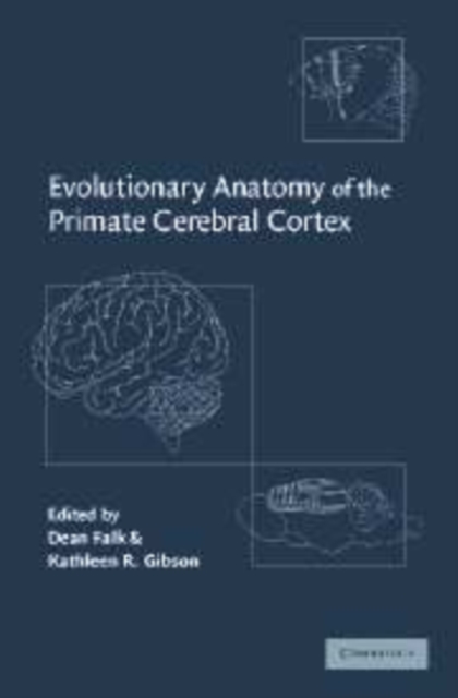 Evolutionary Anatomy of the Primate Cerebral Cortex, Paperback / softback Book
