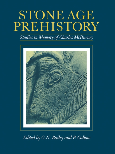 Stone Age Prehistory : Studies in Memory of Charles McBurney, Paperback / softback Book
