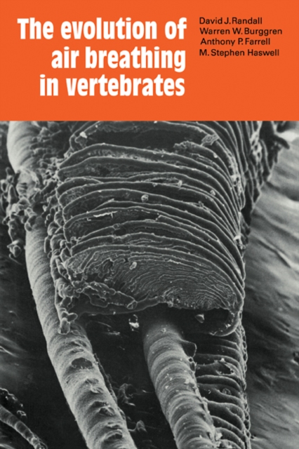 The Evolution of Air Breathing in Vertebrates, Paperback / softback Book