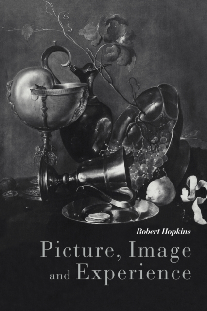 Picture, Image and Experience : A Philosophical Inquiry, Paperback / softback Book