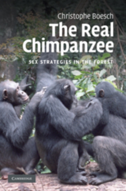 The Real Chimpanzee : Sex Strategies in the Forest, Hardback Book