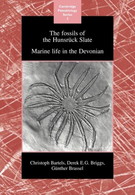 The Fossils of the Hunsruck Slate : Marine Life in the Devonian, Paperback / softback Book