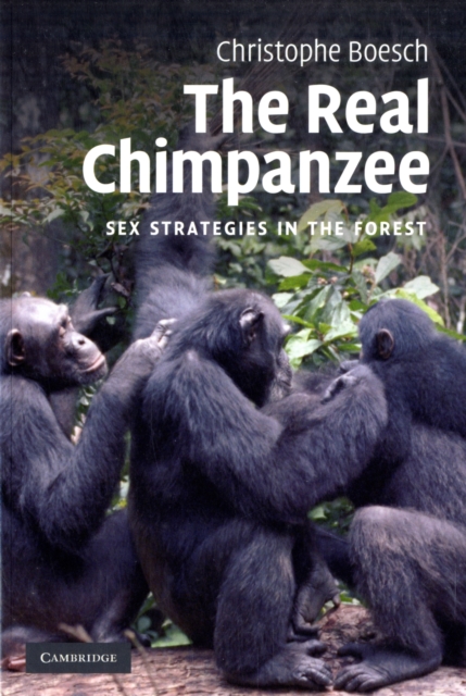 The Real Chimpanzee : Sex Strategies in the Forest, Paperback / softback Book