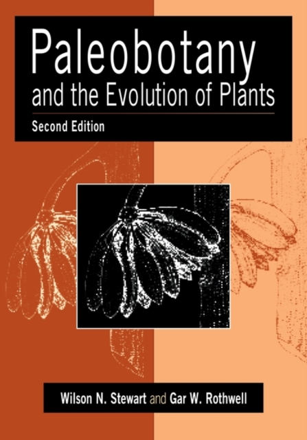 Paleobotany and the Evolution of Plants, Paperback / softback Book