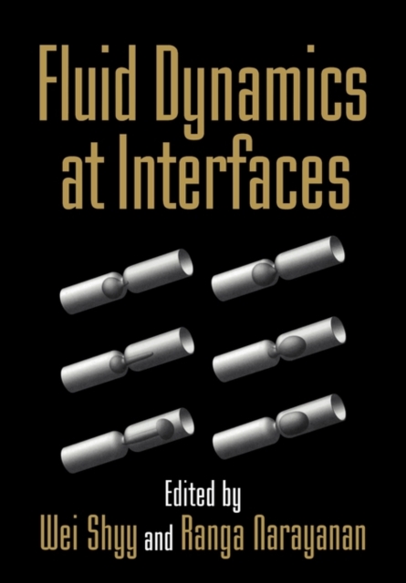 Fluid Dynamics at Interfaces, Paperback / softback Book