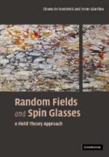 Random Fields and Spin Glasses : A Field Theory Approach, Paperback / softback Book