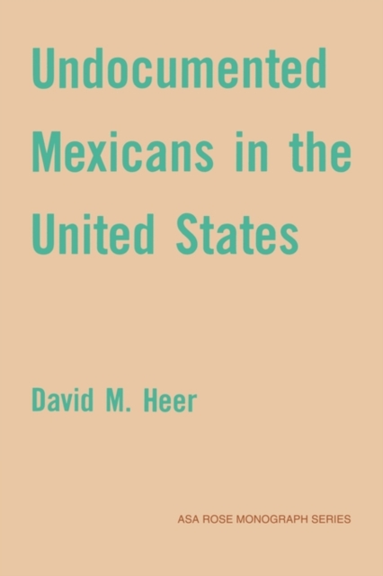 Undocumented Mexicans in the USA, Paperback / softback Book
