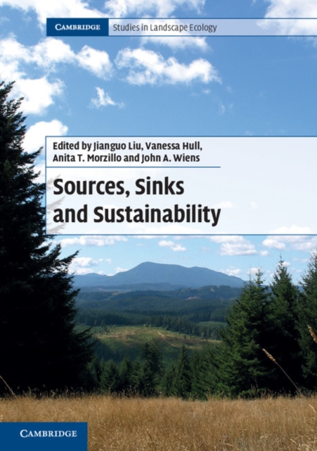 Sources, Sinks and Sustainability, Paperback / softback Book