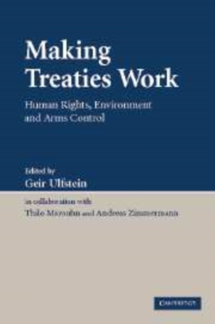 Making Treaties Work : Human Rights, Environment and Arms Control, Paperback / softback Book