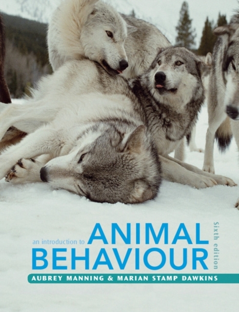 An Introduction to Animal Behaviour, Paperback / softback Book