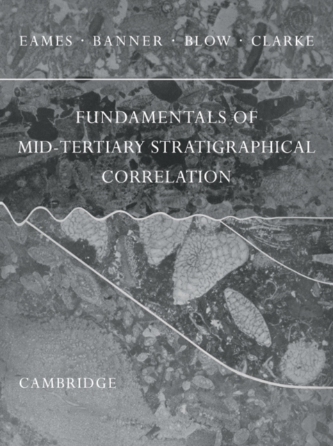 Fundamentals of Mid-Tertiary Stratigraphical Correlation, Paperback / softback Book