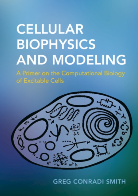 Cellular Biophysics and Modeling : A Primer on the Computational Biology of Excitable Cells, Paperback / softback Book