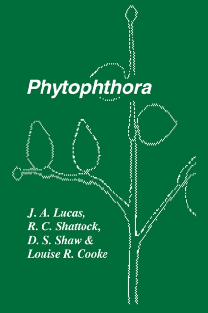 Phytophthora : Symposium of the British Mycological Society, the British Society for Plant Pathology and the Society of Irish Plant Pathologists Held at Trinity College, Dublin September 1989, Paperback / softback Book