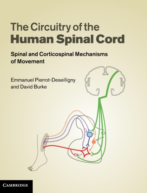 The Circuitry of the Human Spinal Cord : Spinal and Corticospinal Mechanisms of Movement, Hardback Book