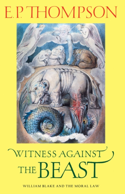 Witness against the Beast : William Blake and the Moral Law, Hardback Book