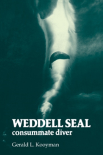 Weddell Seal : Consummate Diver, Hardback Book