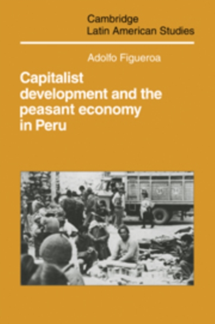 Capitalist Development and the Peasant Economy in Peru, Hardback Book