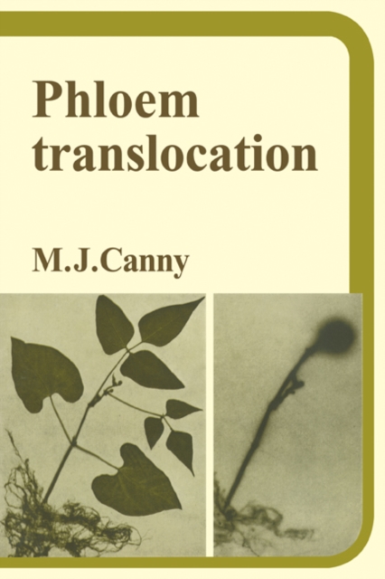 Phloem Translocation, Paperback / softback Book