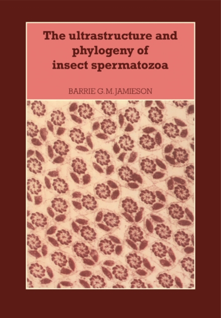 The Ultrastructure and Phylogeny of Insect Spermatozoa, Paperback / softback Book