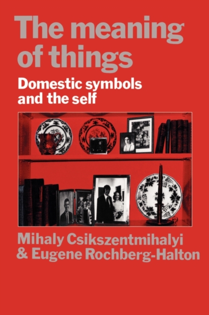 The Meaning of Things : Domestic Symbols and the Self, Paperback / softback Book