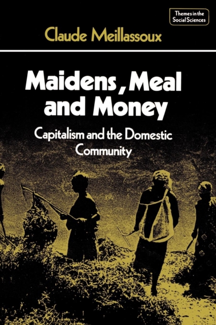 Maidens, Meal and Money : Capitalism and the Domestic Community, Paperback / softback Book