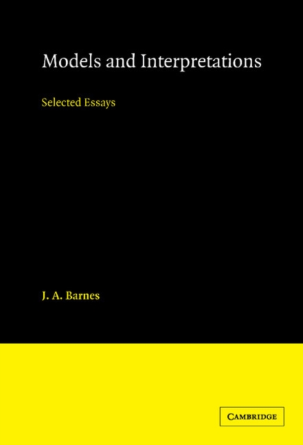 Models and Interpretations : Selected Essays, Hardback Book