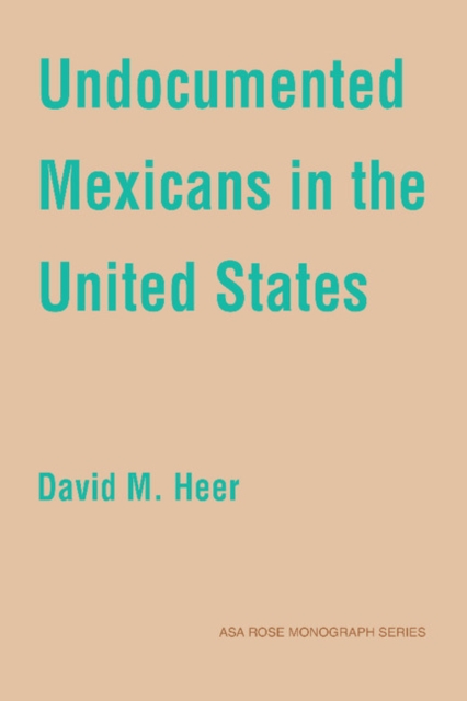 Undocumented Mexicans in the USA, Hardback Book