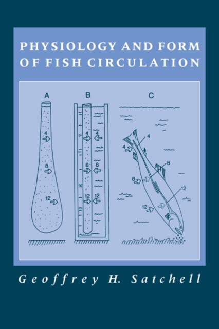 Physiology and Form of Fish Circulation, Hardback Book