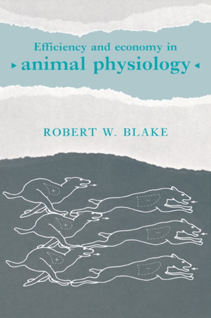 Efficiency and Economy in Animal Physiology, Hardback Book