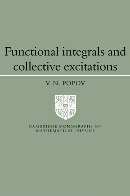 Functional Integrals and Collective Excitations, Paperback / softback Book