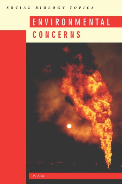 Environmental Concerns, Paperback / softback Book