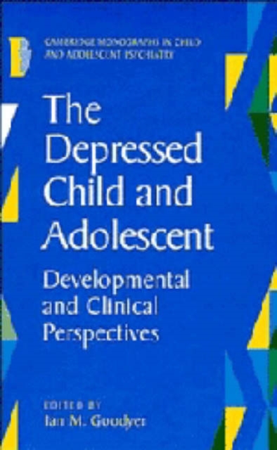 The Depressed Child and Adolescent : Developmental and Clinical Perspectives, Hardback Book