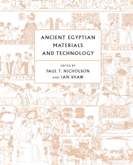 Ancient Egyptian Materials and Technology, Hardback Book
