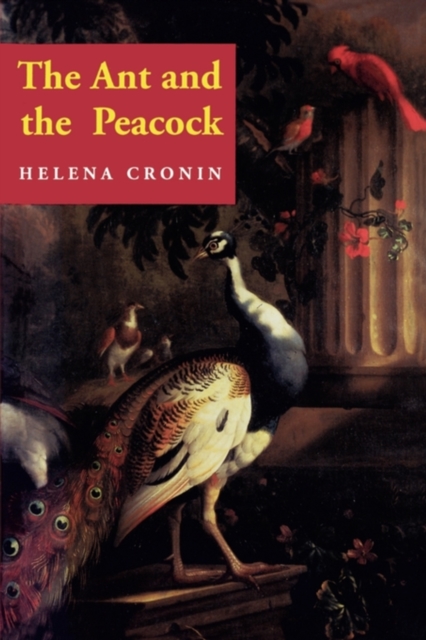 The Ant and the Peacock : Altruism and Sexual Selection from Darwin to Today, Paperback / softback Book
