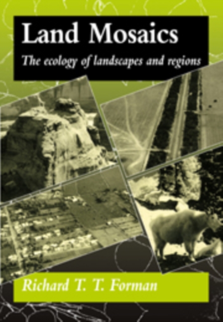 Land Mosaics : The Ecology of Landscapes and Regions, Hardback Book