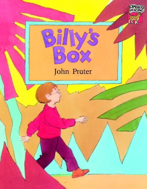 Billy's Box, Paperback Book
