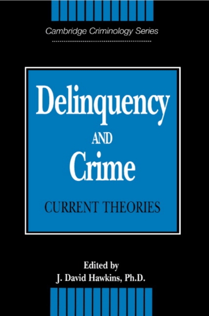 Delinquency and Crime : Current Theories, Paperback / softback Book