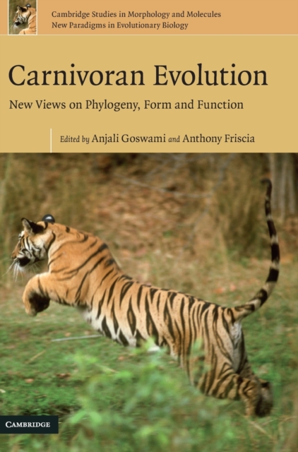 Carnivoran Evolution : New Views on Phylogeny, Form and Function, Hardback Book
