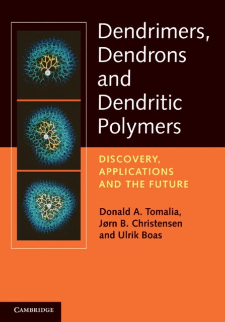 Dendrimers, Dendrons, and Dendritic Polymers : Discovery, Applications, and the Future, Hardback Book