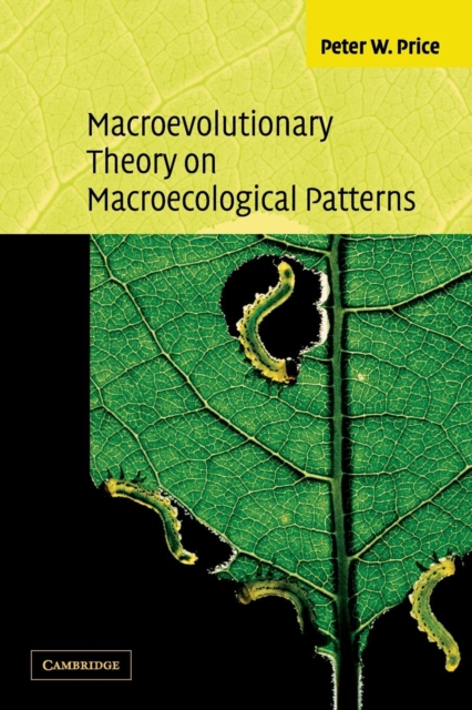 Macroevolutionary Theory on Macroecological Patterns, Paperback / softback Book