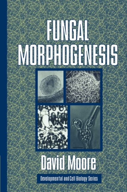 Fungal Morphogenesis, Paperback / softback Book