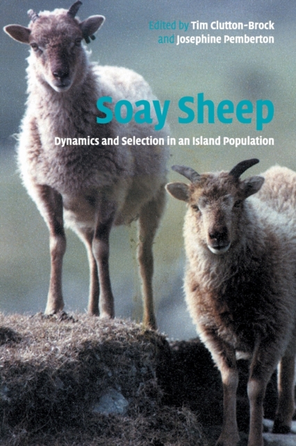 Soay Sheep : Dynamics and Selection in an Island Population, Paperback / softback Book