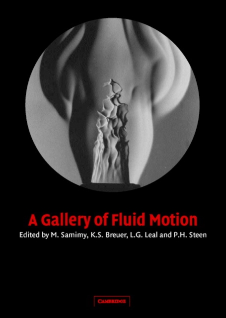 A Gallery of Fluid Motion, Paperback / softback Book