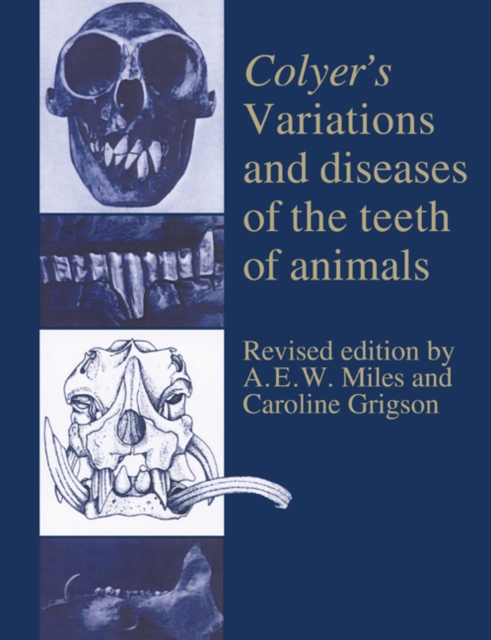Colyer's Variations and Diseases of the Teeth of Animals, Paperback / softback Book