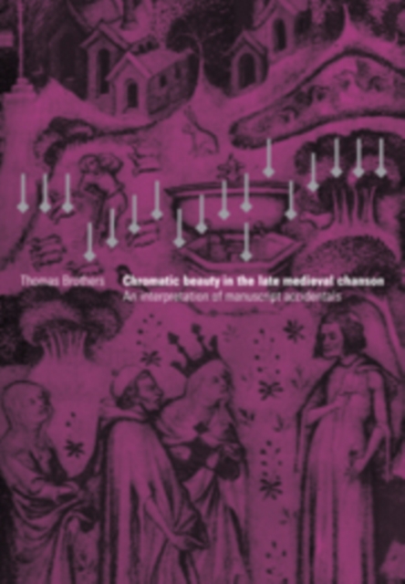 Chromatic Beauty in the Late Medieval Chanson : An Interpretation of Manuscript Accidentals, Hardback Book