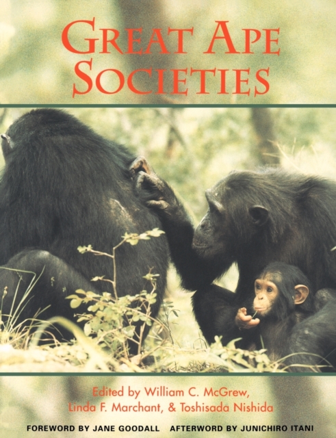 Great Ape Societies, Paperback / softback Book