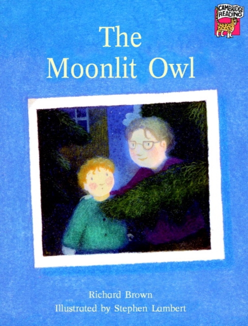 The Moonlit Owl, Paperback Book