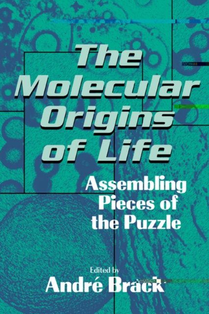 The Molecular Origins of Life : Assembling Pieces of the Puzzle, Paperback / softback Book