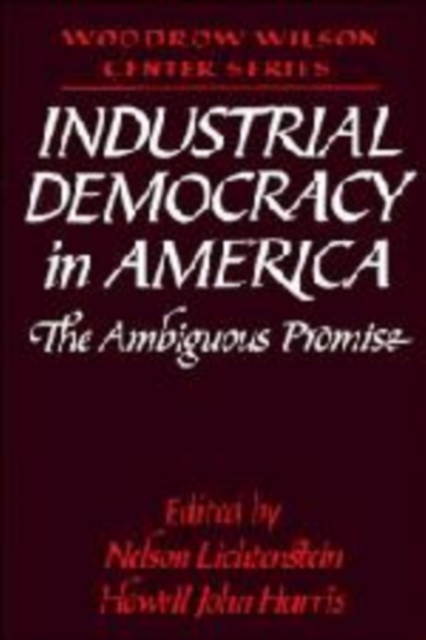 Industrial Democracy in America : The Ambiguous Promise, Paperback / softback Book